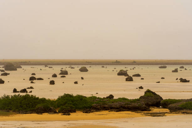 istock Sawada beach with many large rocks lying on the ground 1886684740
