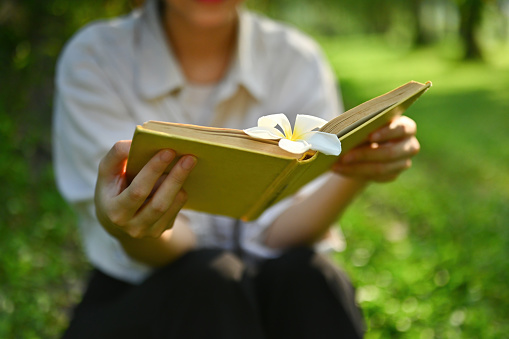 Close up with female's hands holding book that have Frangipani flowers is a bookmark, Reading book, Outdoors.