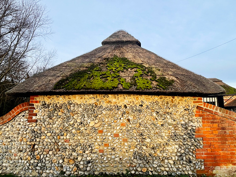 Moss on an old thatched roof in Norfolk