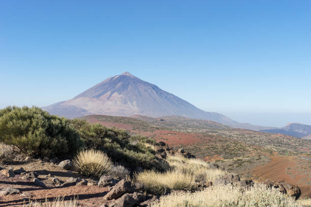 istock Landscape with the Teide volcano on Tenerife 1886745911