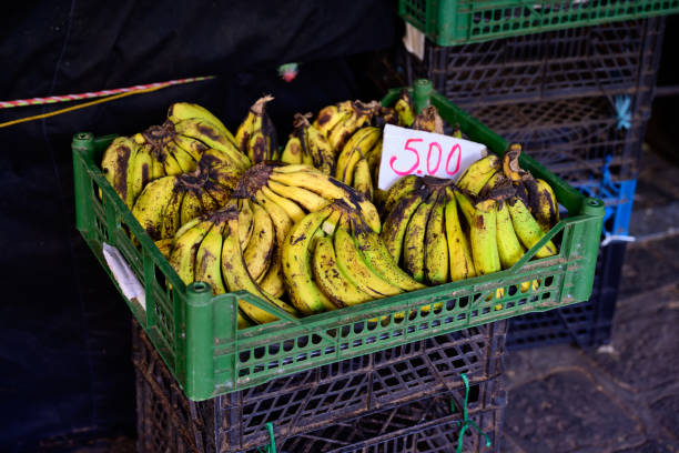 Yellow, Ripe Bananas for Sale in a Crate or Box at the Central Market in Port Louis, Mauritius
