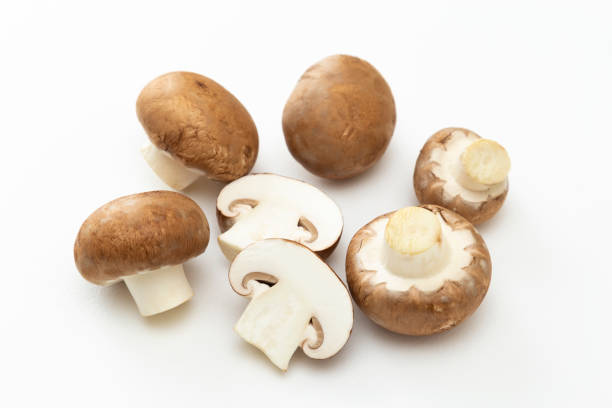 istock Mushrooms on a white background. 1886768750