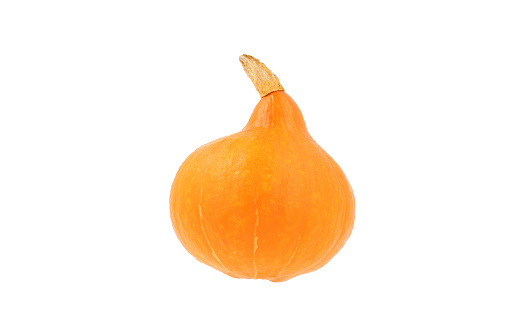 Pumpkin isolated on white background. View from above