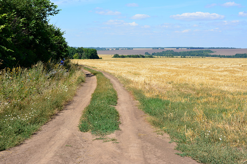 empty road in the field with blue sky and clouds copy space