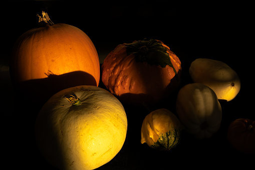 pumpkins in high contrast