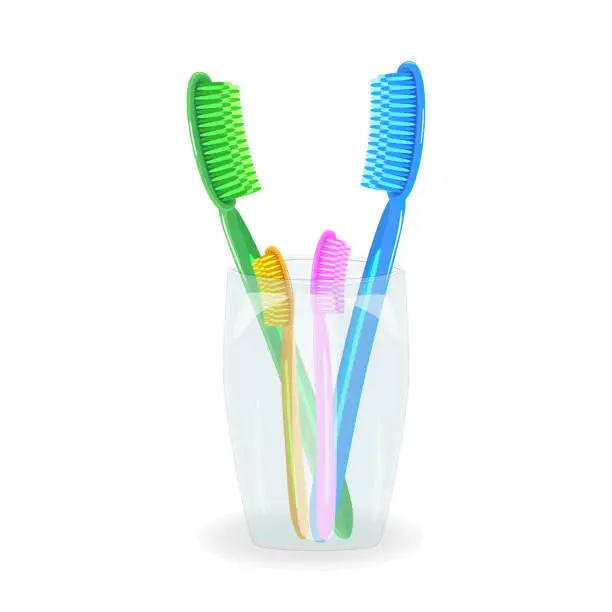 Vector illustration of Toothbrushes in mug isolated on white background. Plastic toothbrushes in a glass holder. Transparent cup and colored brush for family.