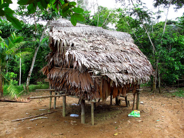 istock Indian village on Amazon river, Peru, South America 1886882220