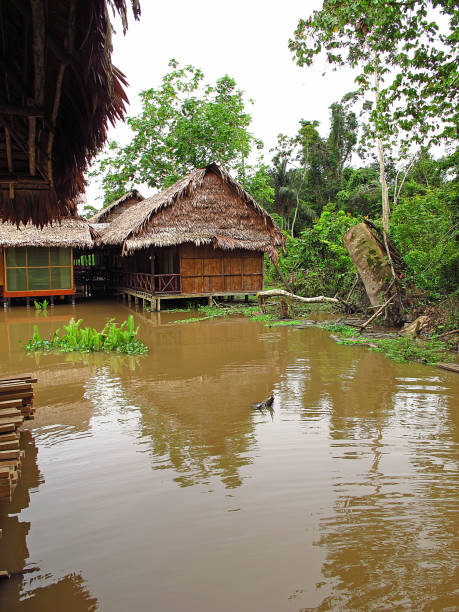 istock The house in Amazon river in Peru, South America 1886882742