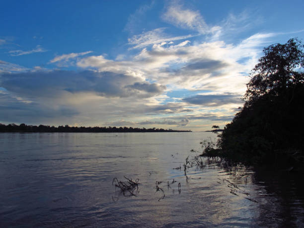 istock The sunset on Amazon river in Peru, South America 1886883311