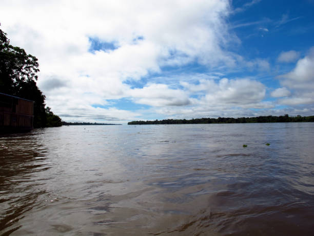 istock The Amazon river in Peru, South America 1886883313