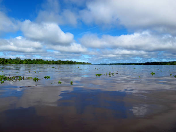 istock The Amazon river in Peru, South America 1886903183