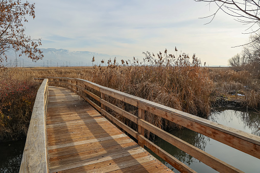 A scenic view of a boardwalk along a nature trail in the birding wildlife sanctuary near Farmington, Utah