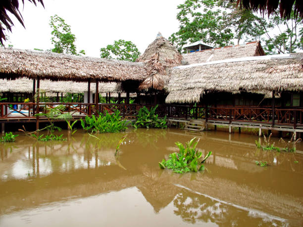 istock The house in Amazon river in Peru, South America 1886911670