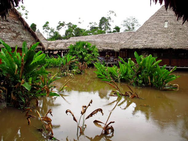 The house in Amazon river in Peru, South America