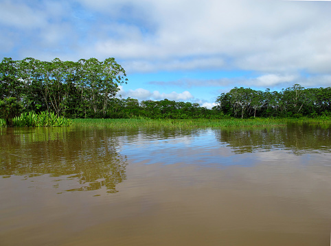 The Amazon river, Peru in South America