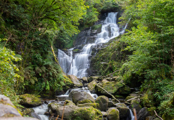 la cascade de torc dans le parc national de killarney dans le comté de kerry - irlande - nobody tranquil scene nature park photos et images de collection