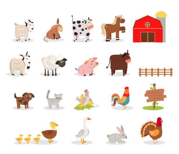 ilustraciones, imágenes clip art, dibujos animados e iconos de stock de animales de granja: vaca, cabra, burro, cerdo, caballo, oveja, pollo, gallina, conejo, toro, gato, perro, gallo, pato, ganso, pavo. linda ilustración vectorial de la colección de mascotas de la granja de dibujos animados. conjunto de animales domésticos - animal husbandry illustrations