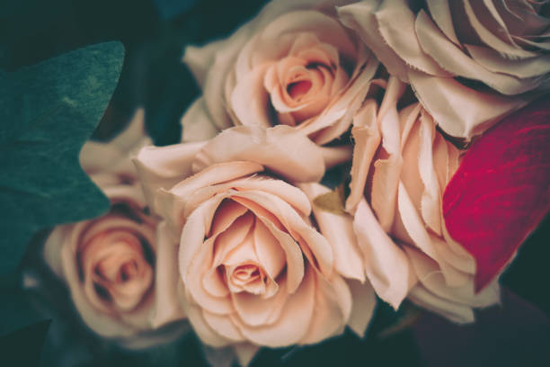 istock Beautiful Artificial Rose Flowers Background, Vintage style; 1886955727