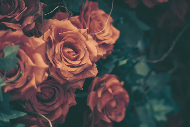 Beautiful Artificial Rose Flowers Background, Vintage style;