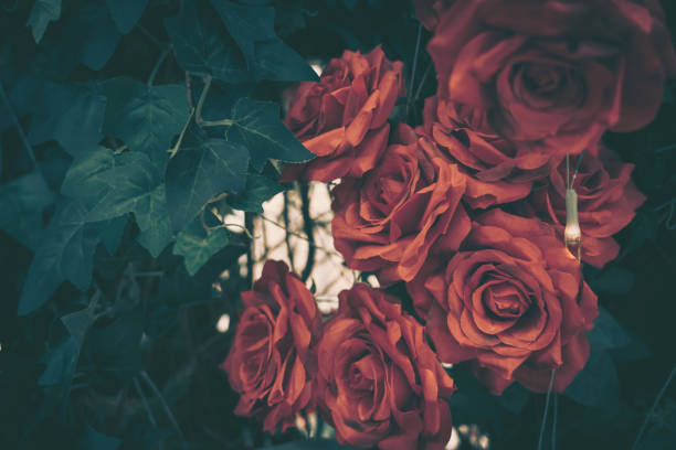 Beautiful Artificial Rose Flowers Background, Vintage style;