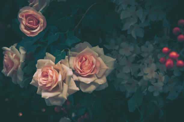 istock Beautiful Artificial Rose Flowers Background, Vintage style; 1886955748