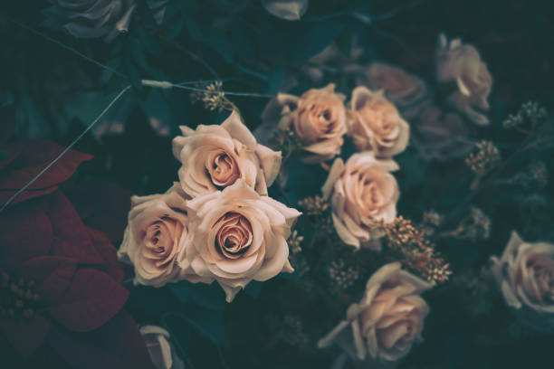 istock Beautiful Artificial Rose Flowers Background, Vintage style; 1886955757