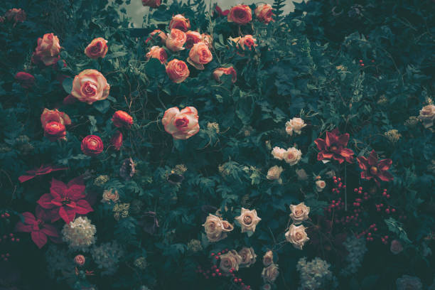 istock Beautiful Artificial Rose Flowers Background, Vintage style; 1886955767