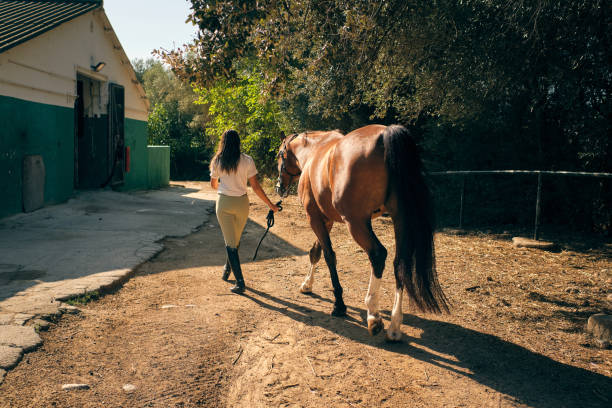 istock Equestrian leading horse on ranch 1886987180