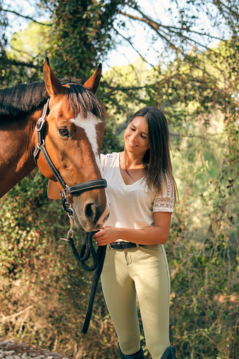 Positive female equestrian holding reins and caressing chestnut horse while standing together in woods on sunny day