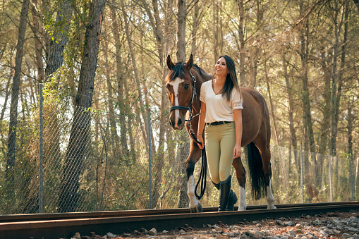Content female equestrian leading chestnut horse along railway in forest on sunny day and looking away