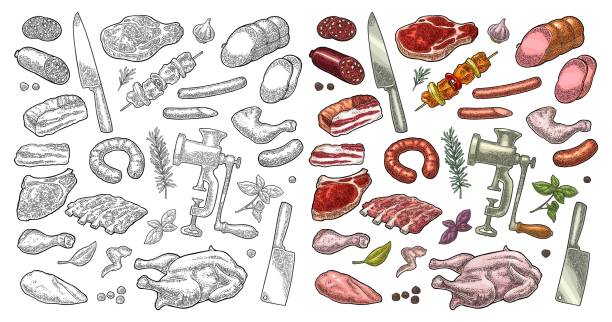 Set meat products and kitchen equipment. Vintage vector engraving Set meat products and kitchen equipment. Brisket, sausage, meat grinder, steak, chicken leg, knife, ribs, basil, thyme. Vintage color vector engraving illustration. Isolated on white background. rib food stock illustrations