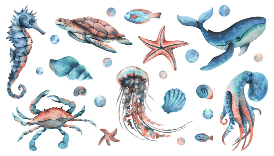 Underwater world clipart with sea animals whale, turtle, octopus, seahorse, starfish, shells, bubbles. Hand drawn watercolor illustration. Big set objects on a isolated background