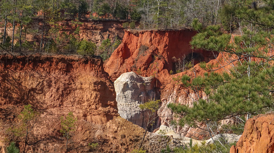 A white sandstone deposit somewhat resembling a skull is the focal point of this shot taken at beautiful Providence Canyon State Park in Lumpkin, Georgia.