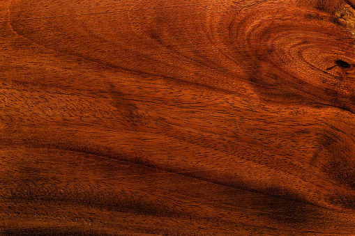 Polished wood texture. The background of polished wood texture.