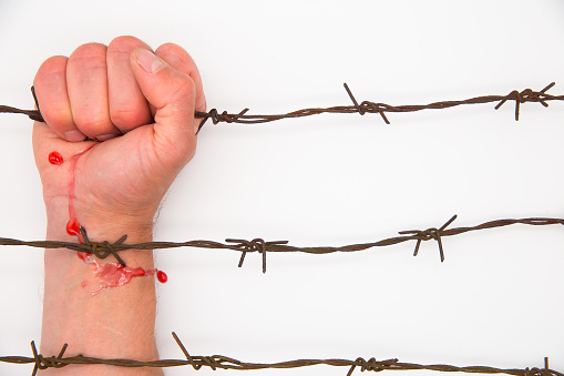 Man's hand shows gestures behind the barbed wire. White background. The concept of imprisonment, dictatorship.