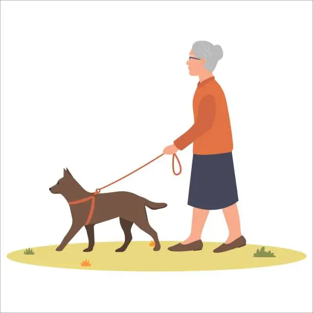 Vector illustration of Old woman  walking with dog.
