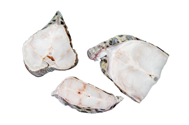 istock Raw atlantic wolffish fish Steak.  Isolated on white background, top view. 1887064731