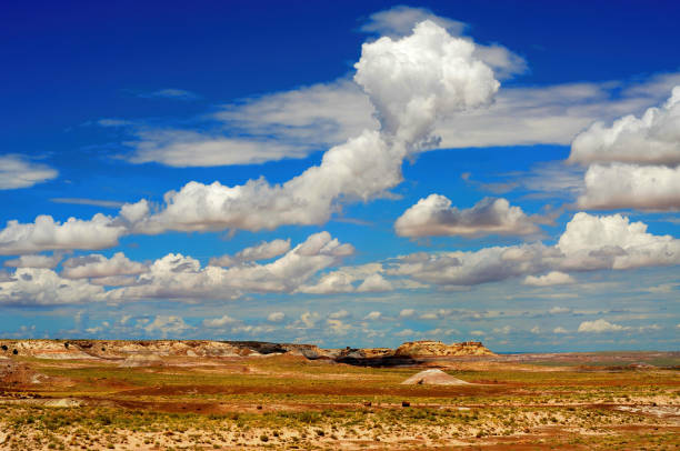 istock Rugged and Desolate Landscape Petrified Forest Arizona 1887077234