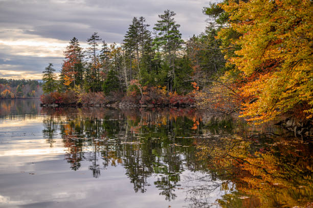 istock New England Foliage over lake 1887077255