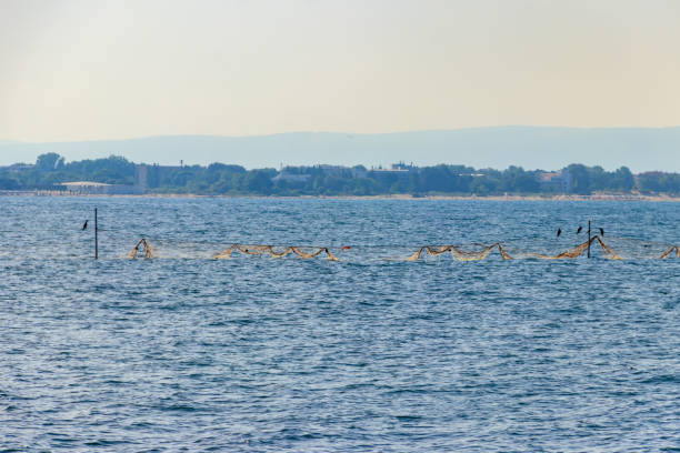 istock Fishing nets in the Black sea in Bulgaria 1887091354