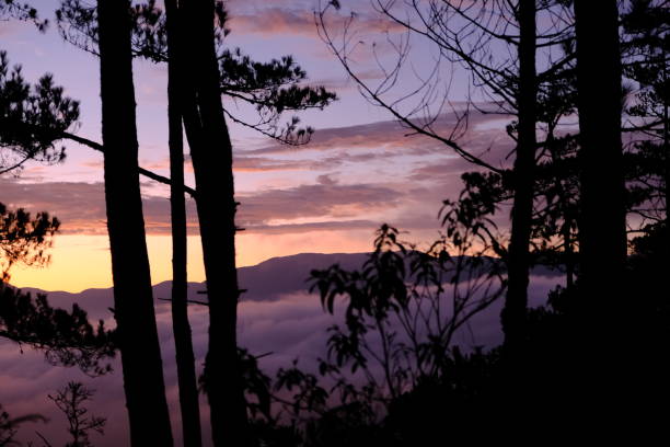This photo is taken at the Marlboro Hills in Sagada, Philippines. This place is often visited and hiked by tourists before sunrise to watch and see the beautiful landscape, the sea of clouds, and the beguiling colors of the sky.