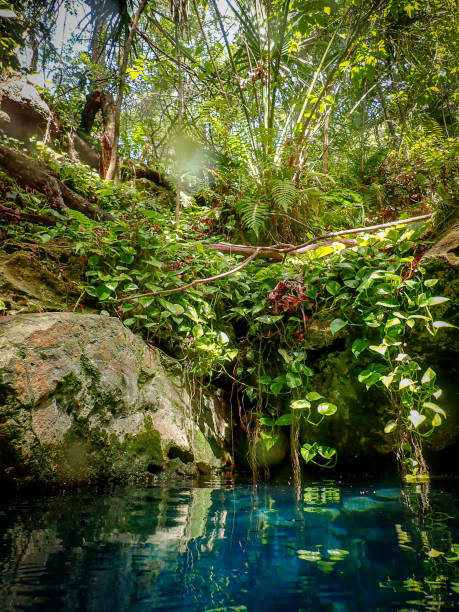 istock Clear blue spring waters surrounded by boardwalk and deck in lush forest, Paradise Springs, Florida 1887178351