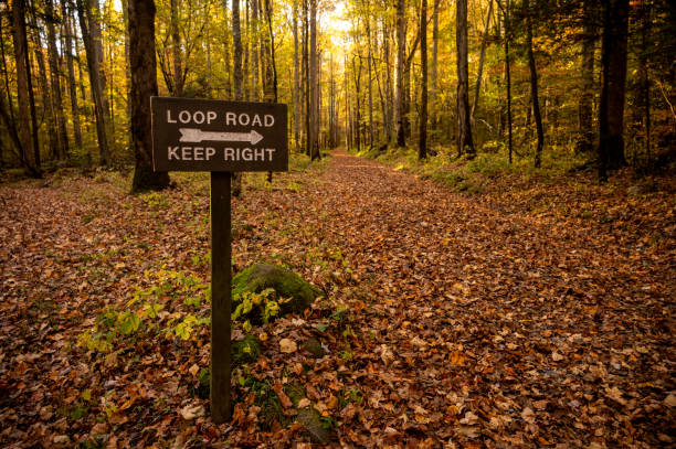 istock Wooden Sign Points Traffic Right on Loop Road 1887201615
