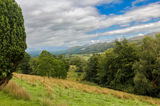 Image of lush, green, rolling countryside of the Yorkshire Dales, England, in summer.