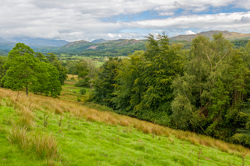 Image of the lush, green, rolling countryside of the Yorkshire Dales, England, in summer.