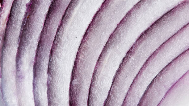 Macro detail from red onion cut section Macro from red onion cut section onion layer stock pictures, royalty-free photos & images