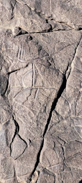 istock Neolithic Rock Engraving in the Sahara Desert 1887332767