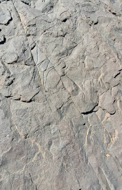istock Neolithic Rock Engraving in the Sahara Desert 1887332913