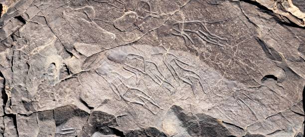 istock Neolithic Rock Engraving in the Sahara Desert 1887332917