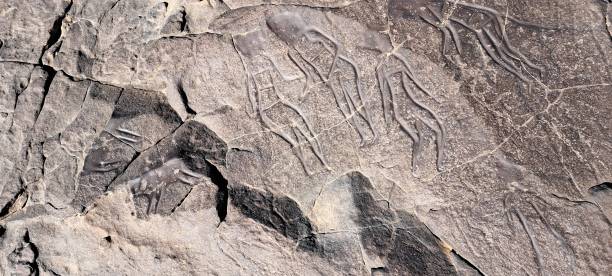 istock Neolithic Rock Engraving in the Sahara Desert 1887333424